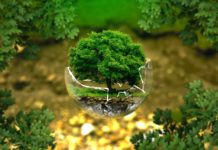 Ecologie et consommation : les 10 tendances majeures de 2019 tendance ecologies 2019