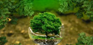 Ecologie et consommation : les 10 tendances majeures de 2019 tendance ecologies 2019